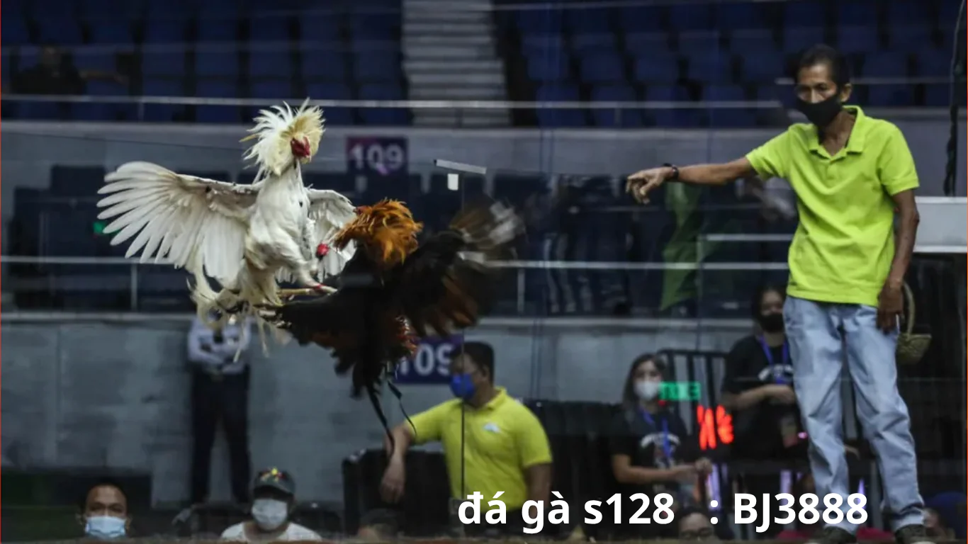 Mẹo chơi đá gà S128 hiệu quả : bj3888