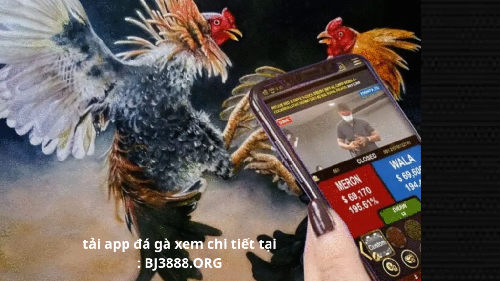 tải app đá gà thomo cpc tại bj3888