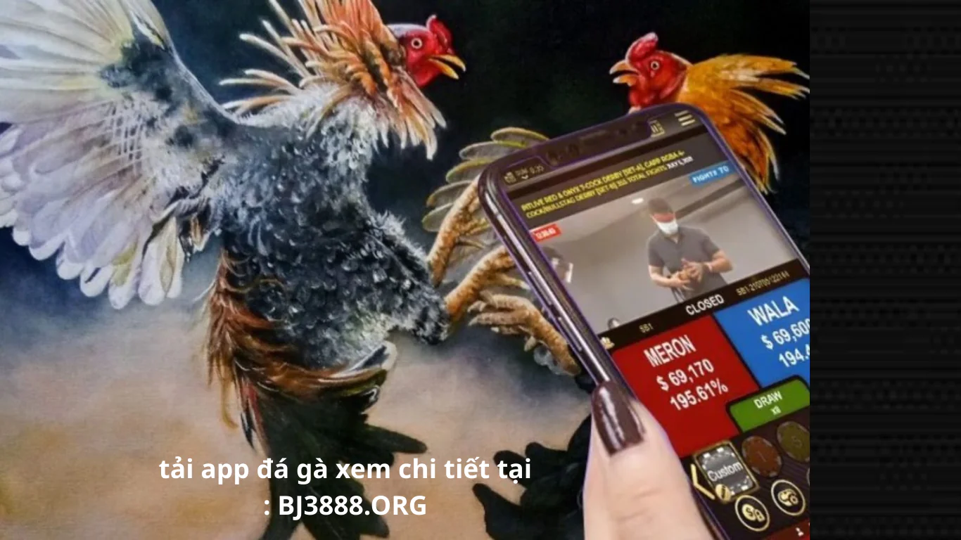 tải app đá gà thomo cpc tại bj3888 