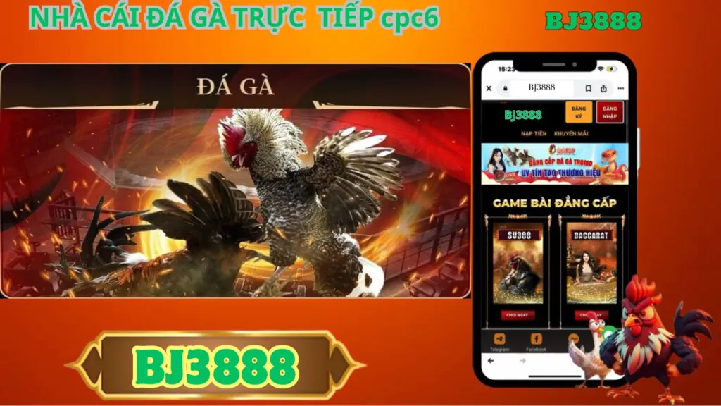 BJ3888 Nhà Cái : Khám Phá Nền Tảng Cá Cược Trực Tuyến Hàng Đầu