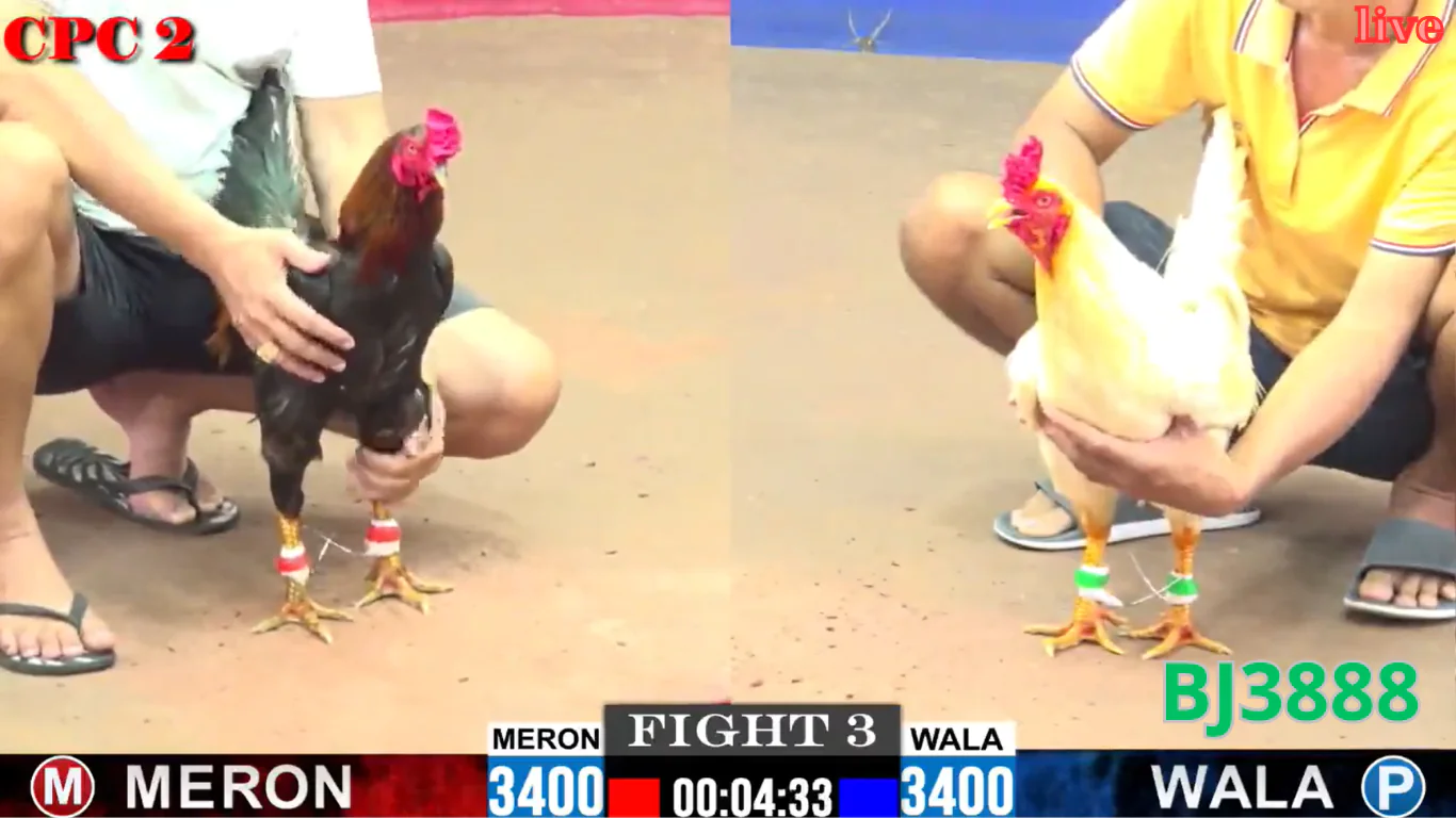 Hướng dẫn đăng ký xem live trực tiếp tham gia BJ3888