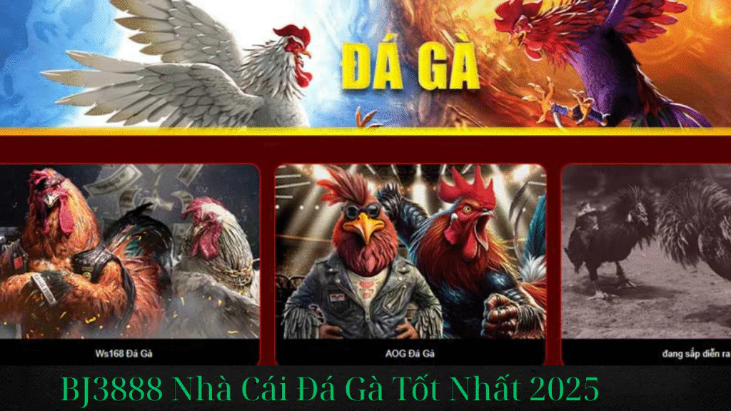 BJ3888 Nhà Cái Đá Gà Tốt Nhất 2025
