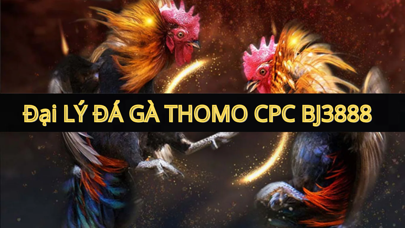 Cách hoạt động và tính hoa hồng của đại lý BJ3888