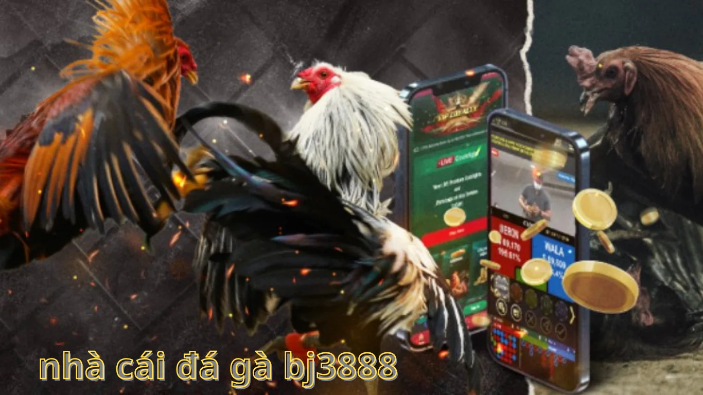 hướng dẫn chi tiết tham gia đăng ký tài khoản đá gà trực tiếp Tìm hiểu về đá gà AOE BJ3888