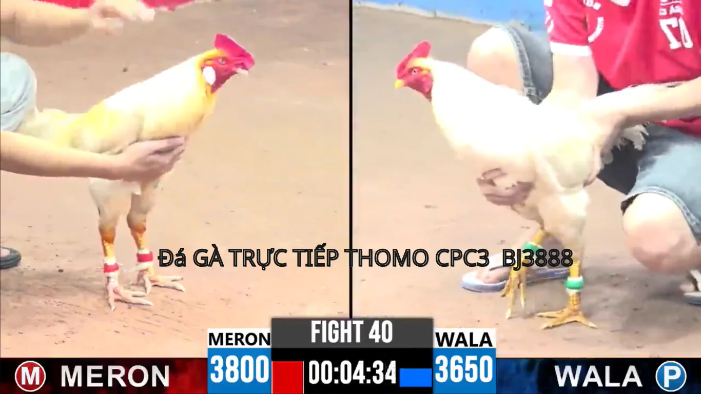 Giới Thiệu Nền Tảng CPC4 - BJ3888