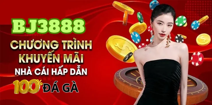 Bj3888 Khuyến Mãi 100% Đá Gà Tiếp Thomo CPC - Cơ Hội Không Thể Bỏ Lỡ