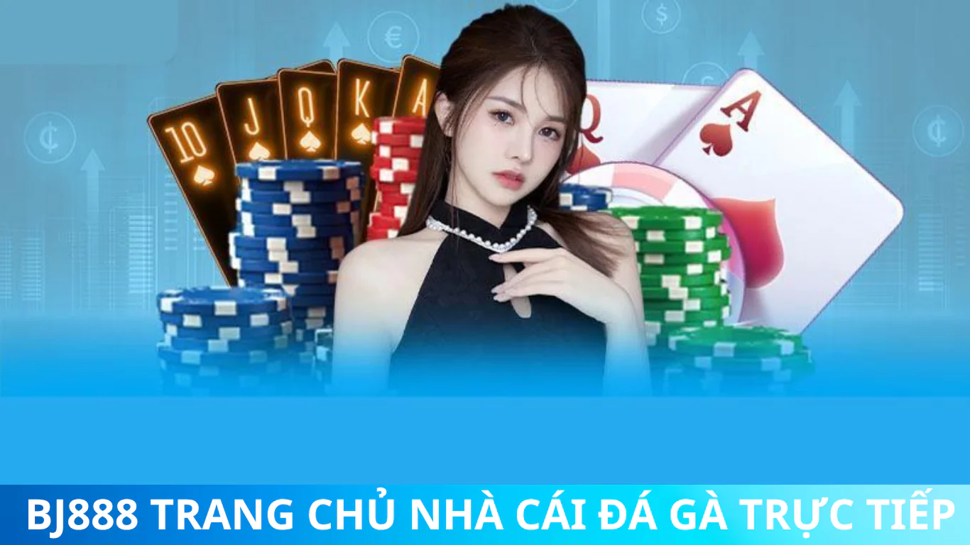 tải app bj888 nhà cái đá gà trực tiếp 