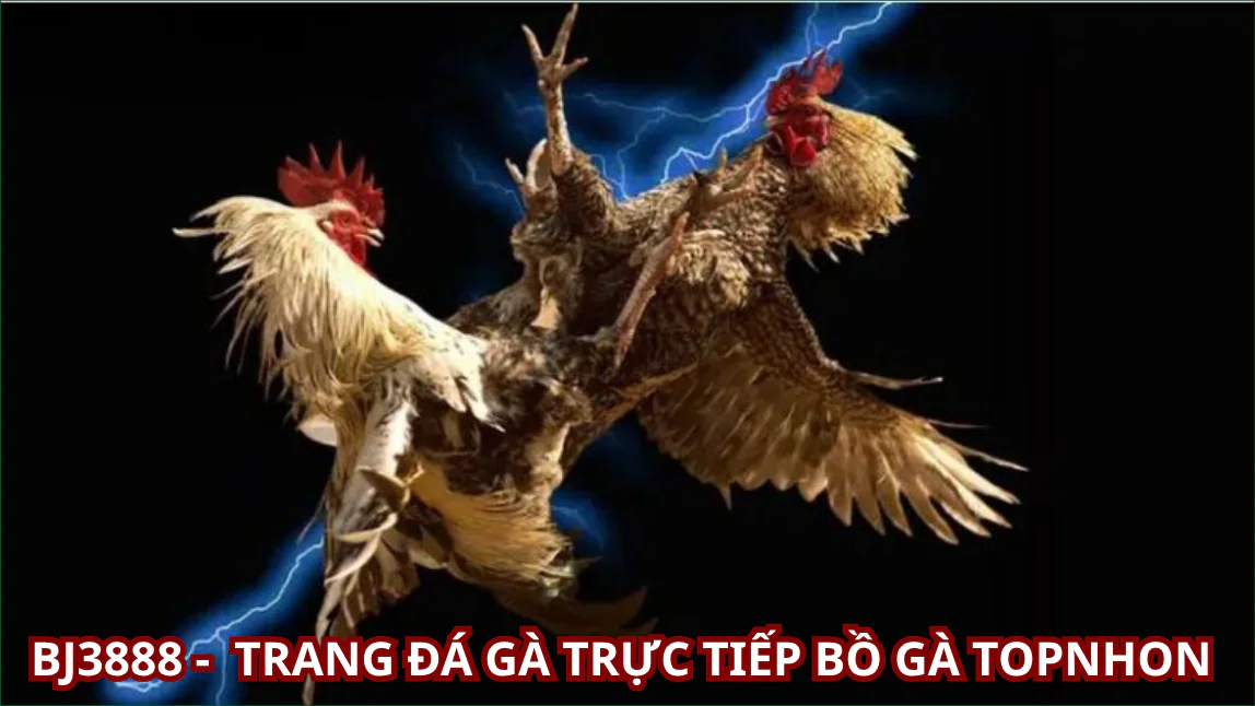 Hỗ trợ khách hàng 24/7