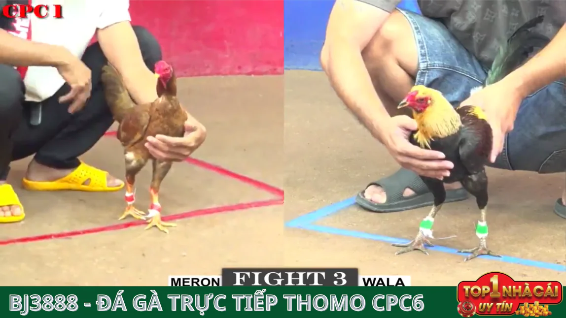 Một số trò chơi cá cược nổi bật tại BJ8888