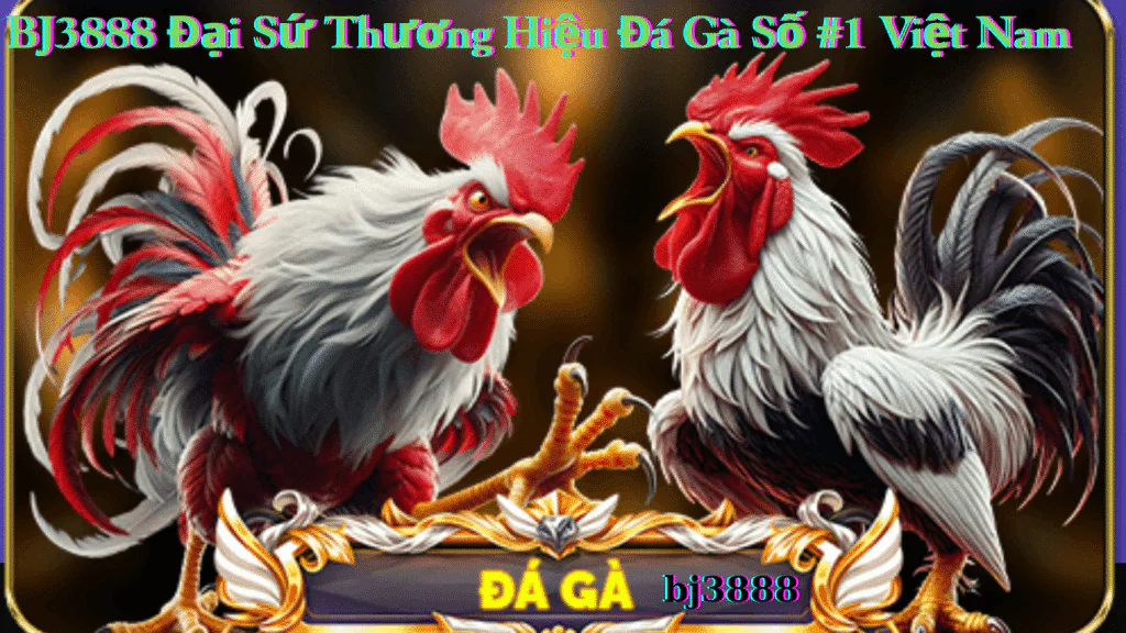 BJ3888 Đại Sứ Thương Hiệu Đá Gà Số #1 Việt Nam