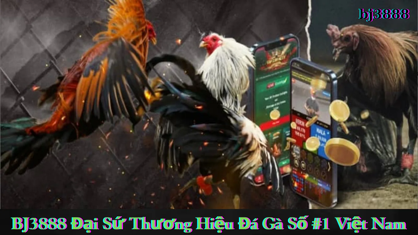 Những điều cần lưu ý khi tham gia BJ3888