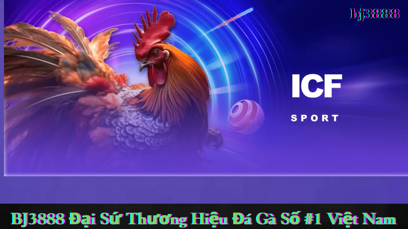 Đội Ngũ Hỗ Trợ Khách Hàng Chuyên Nghiệp BJ3888